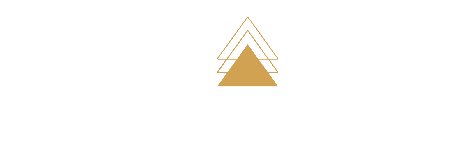 Elevated Networking Society